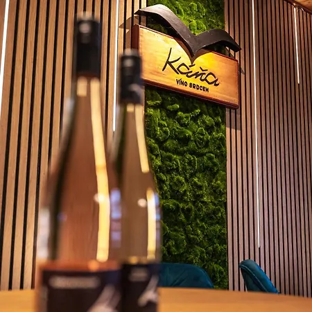 Penzion Apartmány&vinařství Káňa Přítluky