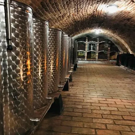 Penzion Apartmány&vinařství Káňa Přítluky