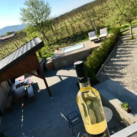 Apartmány&vinařství Káňa *